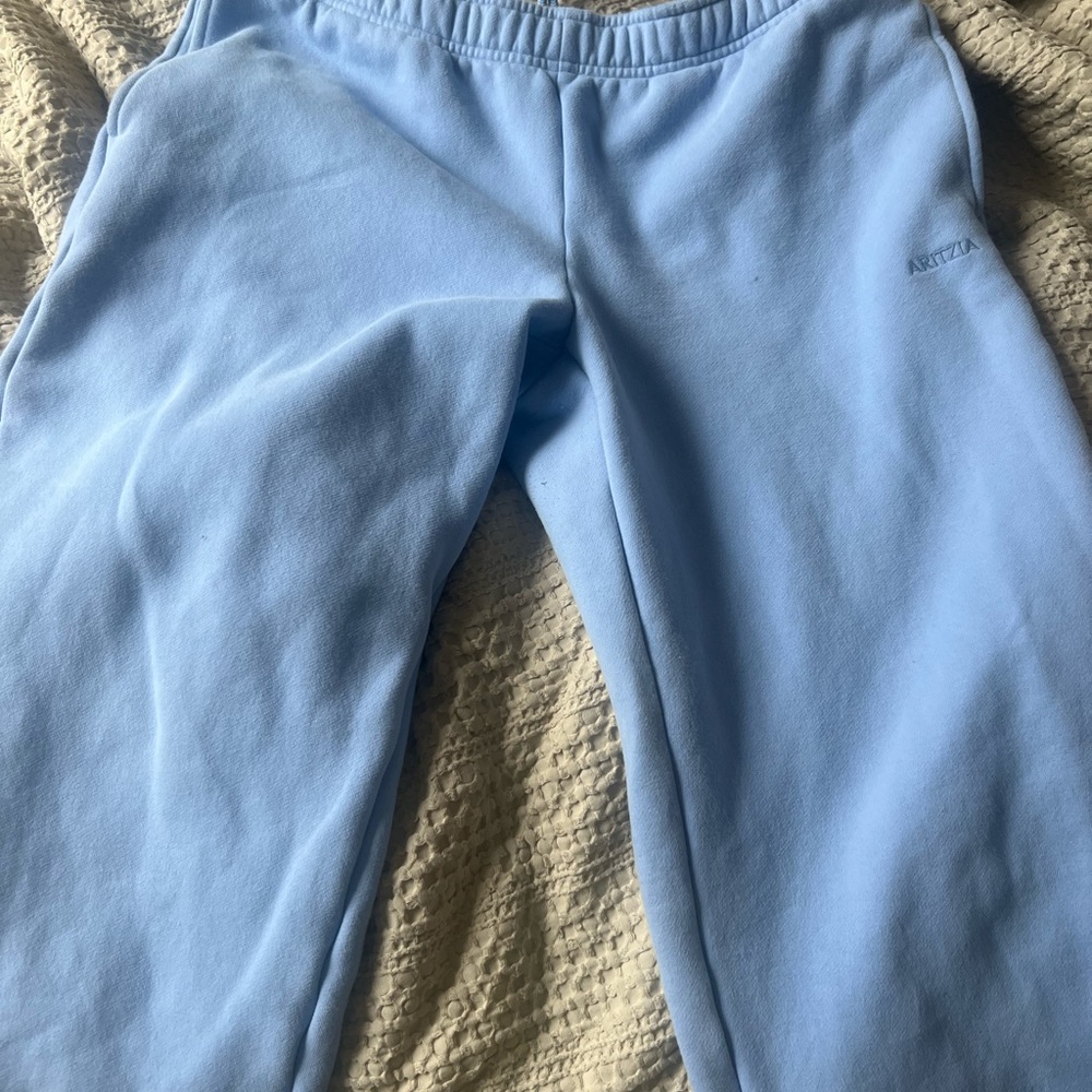 Aritzia day flower blue straight sweatpants